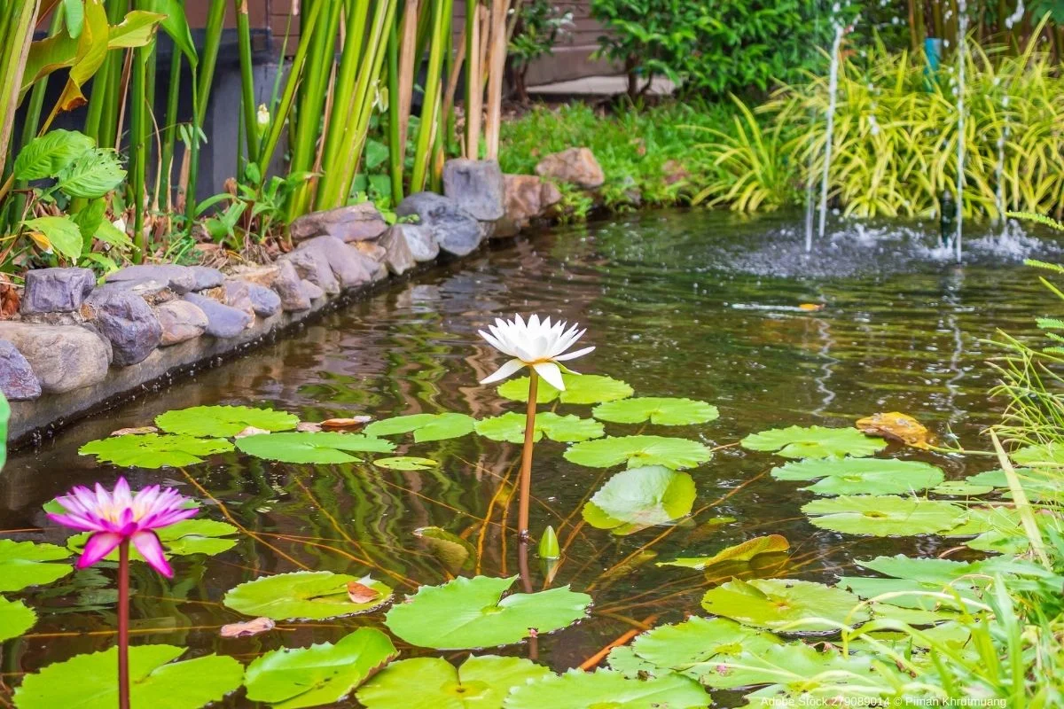 Technische Ausstattung Teich